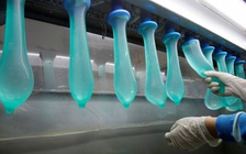 Thế giới thiếu bao cao su giữa đại dịch Covid-19