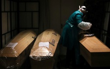 Toàn cầu có hơn 95.000 người tử vong vì dịch Covid-19