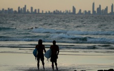 Cá mập cắn chết người lướt sóng tại bờ biển Úc