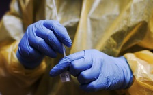 Nửa triệu người Mỹ sẽ chết vì Covid-19 tính đến tháng 2.2021?