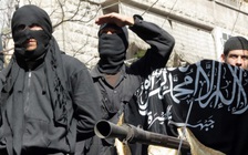 Phiến quân Hồi giáo tấn công, 100 người thiệt mạng tại Niger