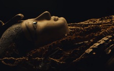 Xác ướp Ai Cập có liên quan vụ tắc nghẽn kênh đào Suez?