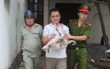 Thất nghiệp đi đánh bả trộm chó, mèo