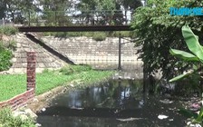 Ám ảnh con kênh sình lầy, bốc mùi nồng nặc tại Đà Nẵng