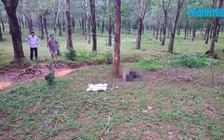 Đi làm sớm, phát hiện thi thể chết cháy trong rừng cao su