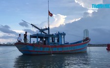 Ngư dân câu được cá nghi là sủ vàng ở cầu Thuận Phước