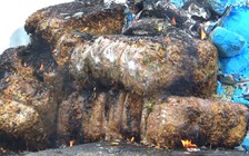 Tiêu hủy gần 1 tấn khô gà không rõ nguồn gốc