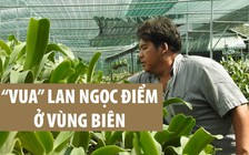 Gặp “vua” lan ngọc điểm ở vùng biên