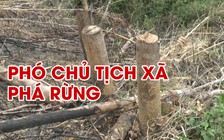 Phó chủ tịch xã tham gia phá rừng