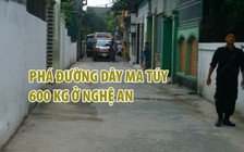 Phá đường dây ma túy “khủng” 600 kg ở Nghệ An