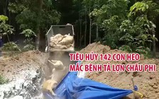 2 ngày, Bình Phước tiêu hủy 142 con heo mắc bệnh tả lợn châu Phi