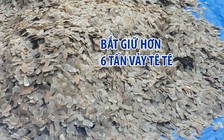 Bắt giữ lô hàng khủng với hơn 6 tấn vảy tê tê