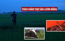 Theo chân thợ săn lươn đồng ở Hà Tĩnh