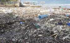 Biển Đà Nẵng ngập rác, hoạt động du lịch tê liệt sau mưa lớn