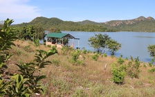 Chiếm dụng hàng chục ha đất trái phép ở hồ Cà Giây