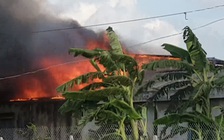 Hàng trăm mét vuông nhà kho mắm cá linh biến thành than vì bà hoả viếng thăm