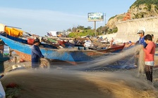 Cá de vào mùa, đi đánh bắt 1 ngày, ngư dân kiếm cả chục triệu đồng