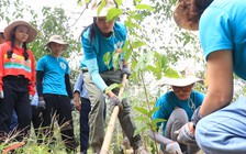 H’Hen Niê và Ngô Bảo Ngọc đội mưa trồng rừng, trao lời yêu thương cho cây