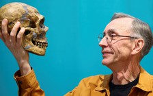 Nhà khoa học giải mật gien người Neanderthal nhận Nobel Y học 2022