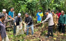 Trăn khổng lồ nuốt chửng người ở Indonesia