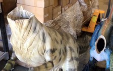 Úc truy lùng kẻ chặt đầu... khủng long