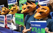 Tòa án Hàn Quốc ra phán quyết 'lịch sử': giết chó lấy thịt là phi pháp