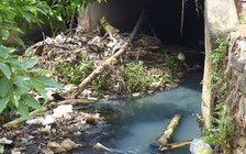 Nước thải từ nhà máy Quảng Nam gây nguy cơ ô nhiễm nước ở Đà Nẵng