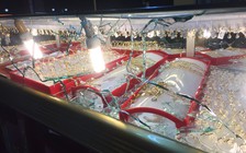 Truy xét vụ cướp tiệm vàng táo tợn ở Bình Dương