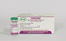 Vắc xin Covivac không tuyển được TNV thử nghiệm giai đoạn cuối