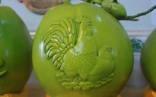 Dừa in hình gà cả triệu đồng/trái ‘cháy hàng’ dịp cận tết Đinh Dậu 2017