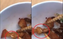 Clip dòi bò lúc nhúc trong thịt kho trứng, Ký túc xá ĐHQG lên tiếng