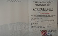 Bằng lái quốc tế và bằng lái trong nước: Những quy định ai cũng cần biết