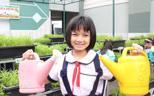 Những cô cậu 'nông dân' nhí Sài Gòn tự trồng rau sạch để ăn