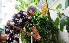 Cụ bà 70 tuổi hơn thập kỷ cả ngày quét rác cho cả xóm ở Sài Gòn