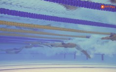 Highlight bơi lội ngày 14.12: HCV của 'hoàng tử ếch' Phạm Thanh Bảo