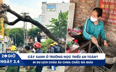 Xem nhanh 20h ngày 3.4: Thai phụ trong vụ cây xanh bật gốc | Tâm sự chủ quán vỉa hè du lịch châu Âu