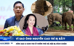 Xem nhanh 12h ngày 6.8: Vì sao ông Nguyễn Cao Trí bị bắt | Xôn xao 2 con voi ở vườn thú Hà Nội bị xích chân