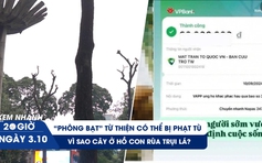 Xem nhanh 20h ngày 3.10: Phông bạt từ thiện có thể bị phạt tù | Vì sao cây ở hồ Con Rùa trụi lá?