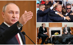 Tổng thống Putin lo ông Trump ‘không an toàn’, xin lỗi bà Merkel về sự cố chó cưng