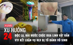 Xu Hướng 24: Độc lạ, hài hước cuộc đua linh vật tết | VTF kết luận vụ HLV đánh võ sinh