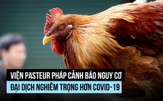 Viện Pasteur Pháp cảnh báo nguy cơ đại dịch đáng sợ hơn Covid-19
