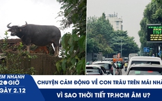 Xem nhanh 20h ngày 2.12: Chuyện cảm động về con trâu mắc kẹt trên mái nhà | Vì sao thời tiết TP.HCM âm u?