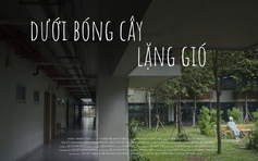 'Dưới bóng cây lặng gió' | Cuộc thi phim ngắn Vietnamese 2025