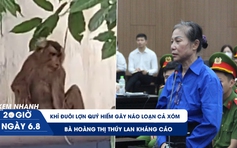 Xem nhanh 20h ngày 6.8: Bà Hoàng Thị Thúy Lan kháng cáo | Khỉ đuôi lợn quý hiếm gây náo loạn cả xóm 