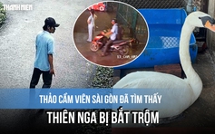 Thảo Cầm Viên Sài Gòn đã tìm thấy con thiên nga bị bắt trộm