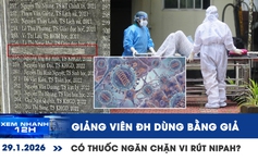 Xem nhanh 12h: Giảng viên đại học dùng bằng giả | Có thuốc ngăn chặn vi rút Nipah?