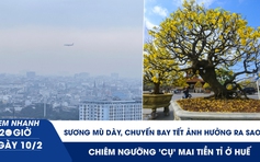 Xem nhanh 20h ngày 10.2: Sương mù dày, các chuyến bay tết ảnh hưởng ra sao? | Chiêm ngưỡng 'cụ' mai tiền tỉ ở Huế