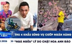 Xem nhanh 12h: Thu 4 khẩu súng vụ cướp ngân hàng ở Gia Lai | 'Ngã ngửa' lý do chặt hoa anh đào