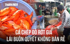Cá chép đỏ rớt giá, lái buôn chợ Yên Sở quyết không bán rẻ