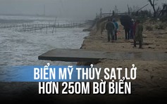 Triều cường dâng cao, biển Mỹ Thủy sạt lở hơn 250m bờ biển
